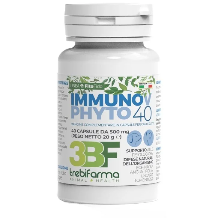 epharmacy1256234