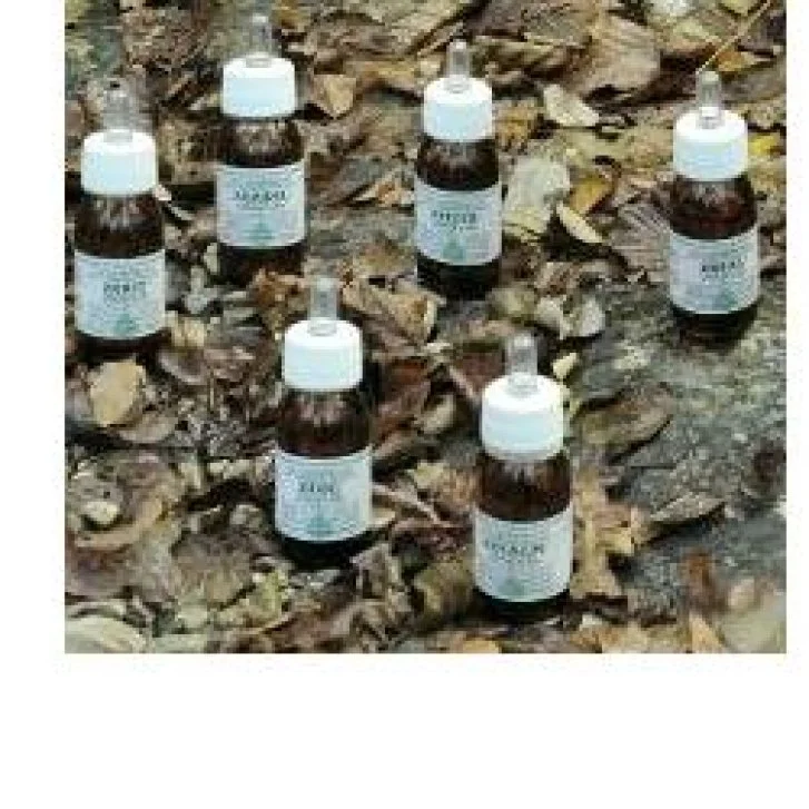 epharmacy1527584