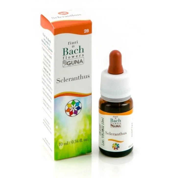 epharmacy1564029