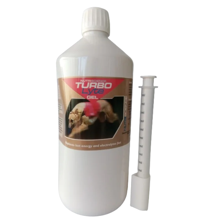 epharmacy1580235