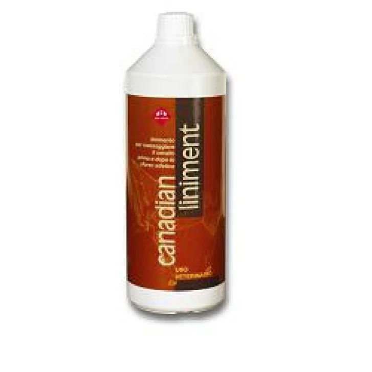 epharmacy1677385