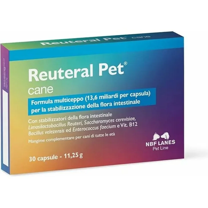 epharmacy1719309