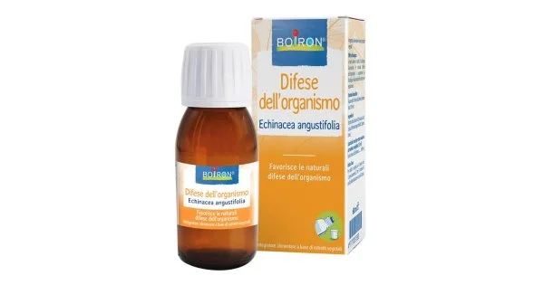 farma-web1244686
