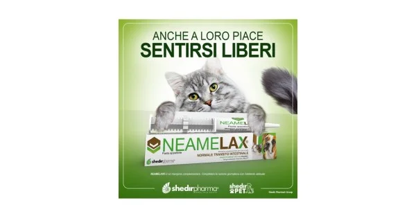 farmaciagaudiana-11362984