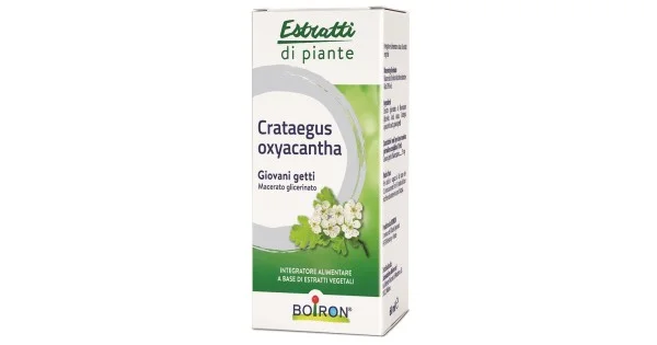 farmaciagaudiana-11375530