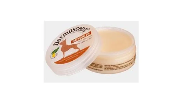 farmaciagaudiana-11400633