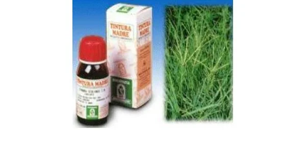 farmaciagaudiana1411140