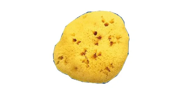 farmaciagaudiana1452098