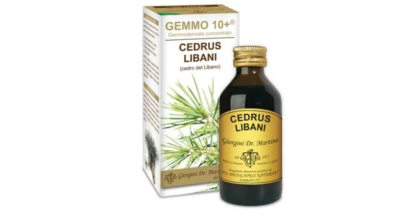 farmaciagaudiana1703864