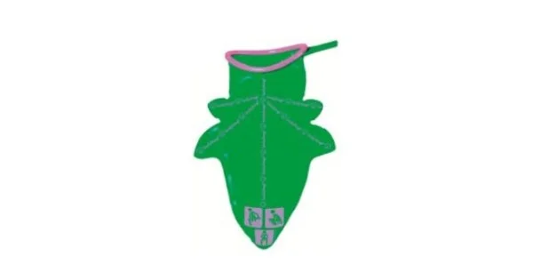 farmaciagaudiana1751087