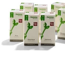 farmahome-11165969
