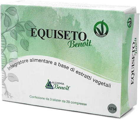 lovesano-11281520