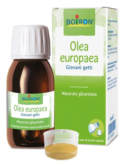 lovesano-11404226