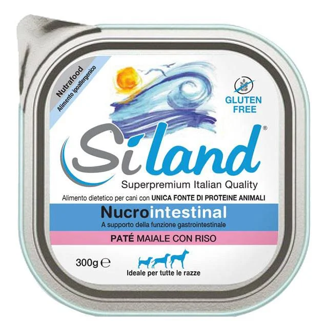lovesano-11473324
