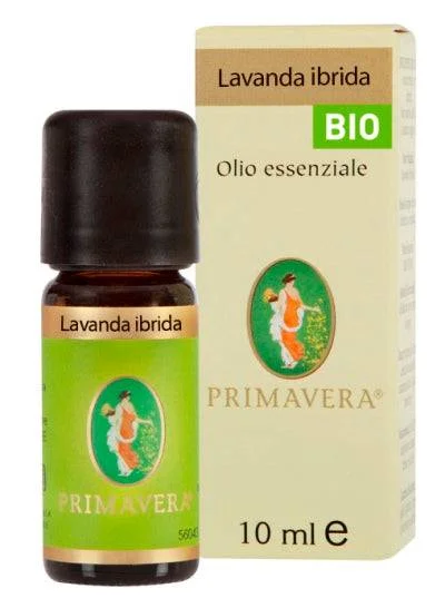 lovesano-21233959