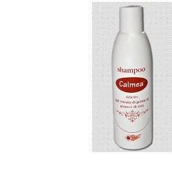 lovesano-21325179
