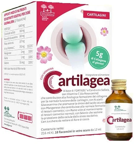 lovesano-21333798