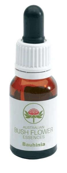 lovesano-21349606