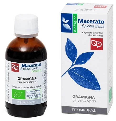 lovesano-21411674