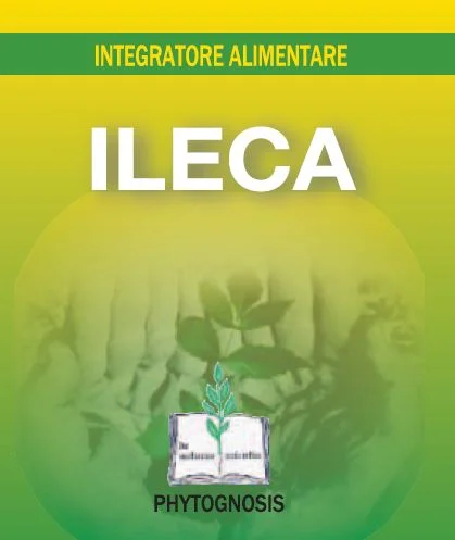 lovesano-21429050