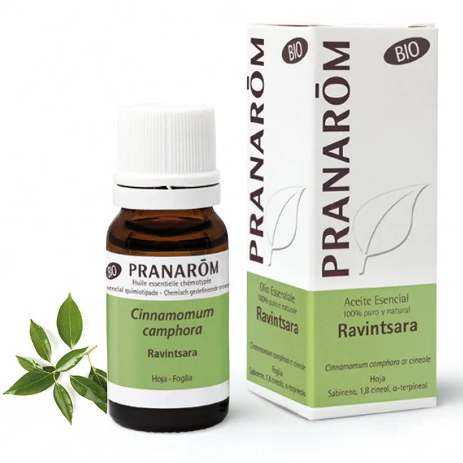 lovesano-31305361