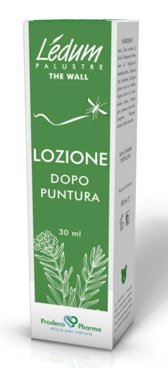 lovesano1141159