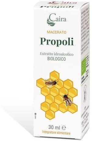 lovesano1152084