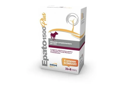 pharmasi-11078594