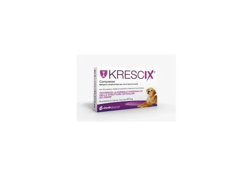 pharmasi-11173894
