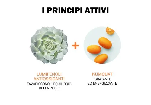 pharmasi-11493766