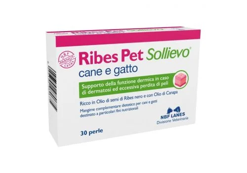 pharmasi1242997