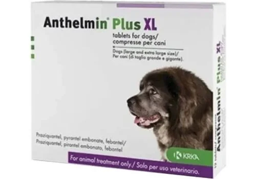 pharmasi969481